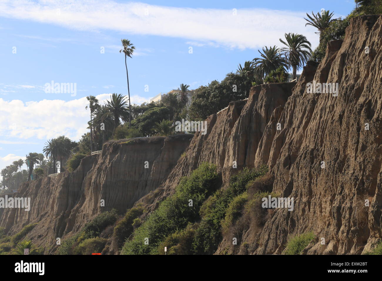 Berge und Bäume in Santa Monica, Kalifornien Stockfoto