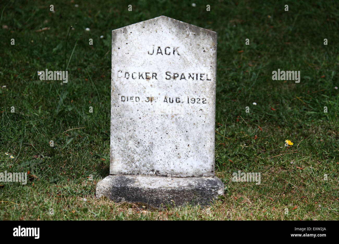 Hunde-Grab auf dem Powerscourt Haustiere Cemetery in Irland Stockfoto