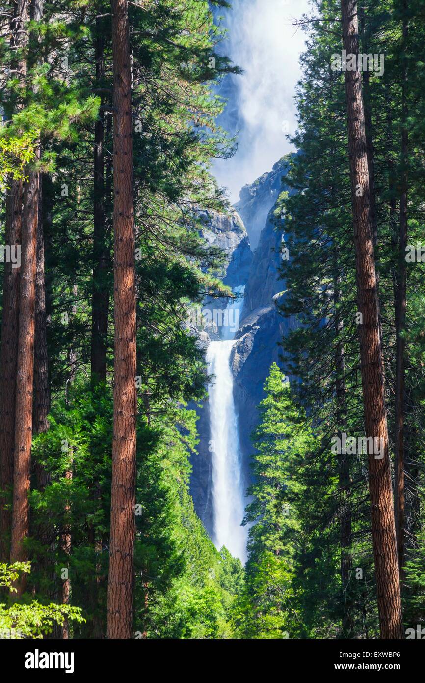 Yosemites Falls, Yosemite-Nationalpark, Kalifornien, USA Stockfoto