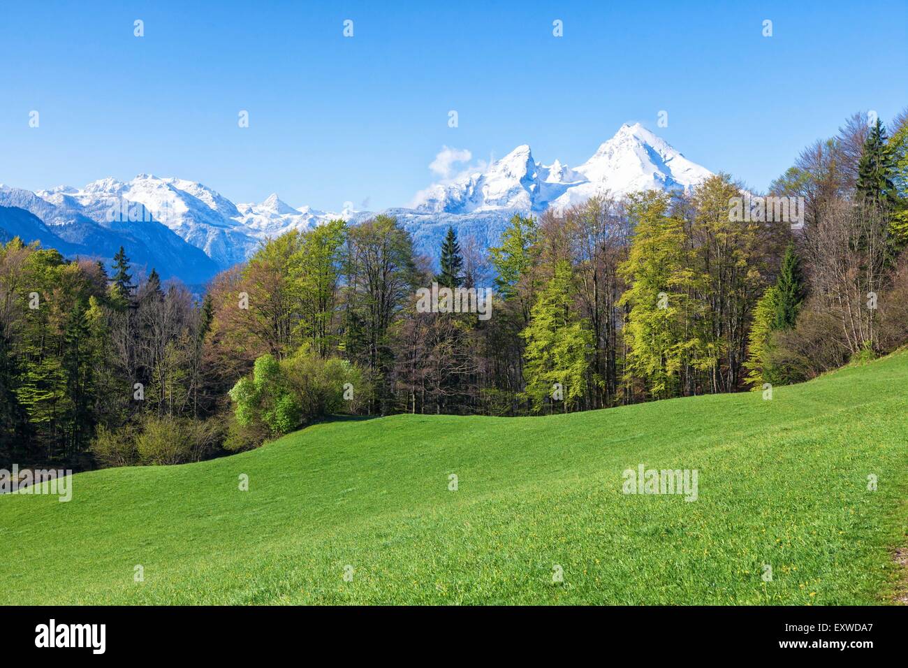 Frühling über Berchtesgaden mit Watzmann, Bayern, Deutschland Stockfoto
