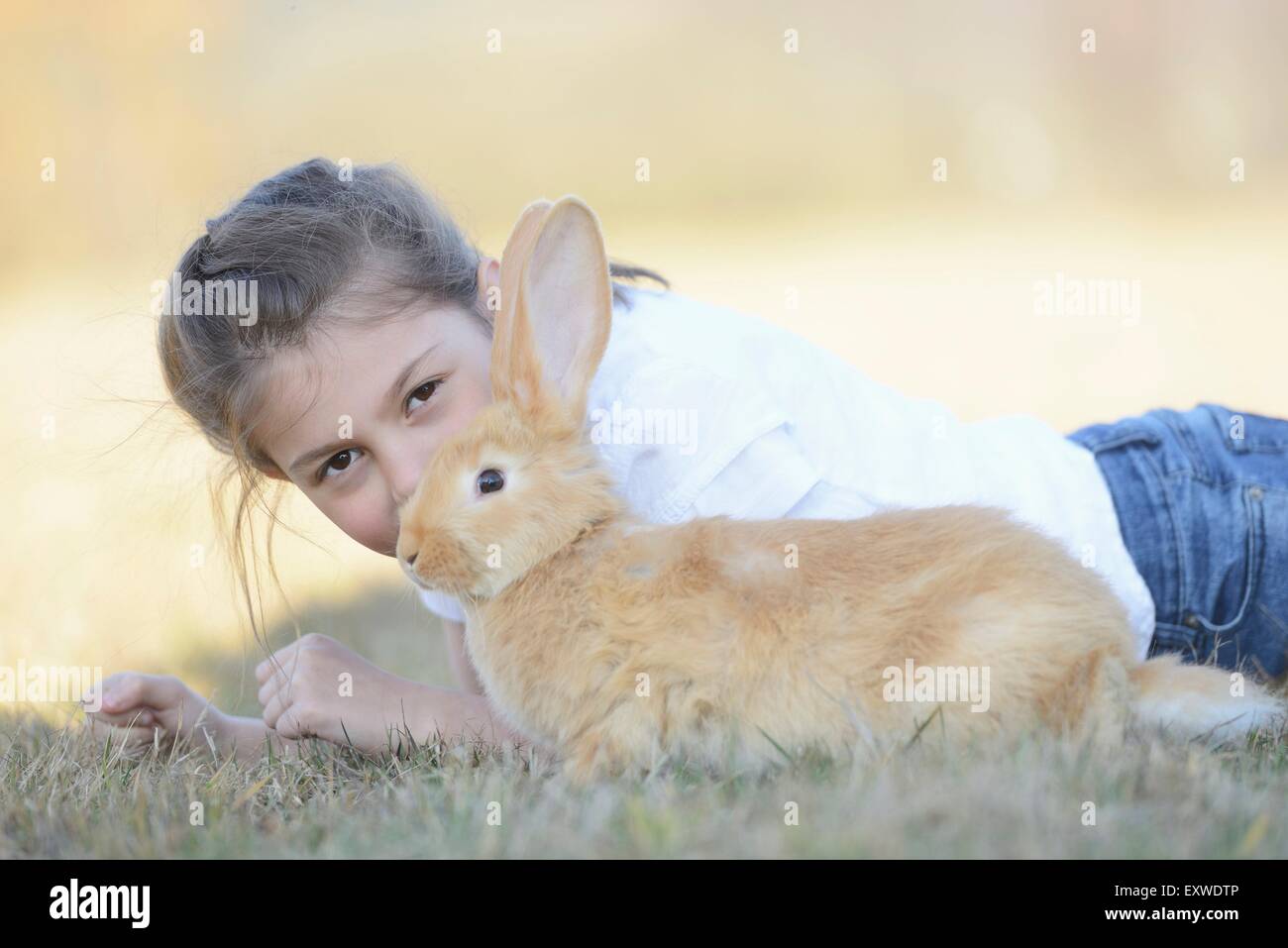 Mädchen mit ihrem Kaninchen auf Wiese, Oberpfalz, Bayern, Deutschland, Europa Stockfoto