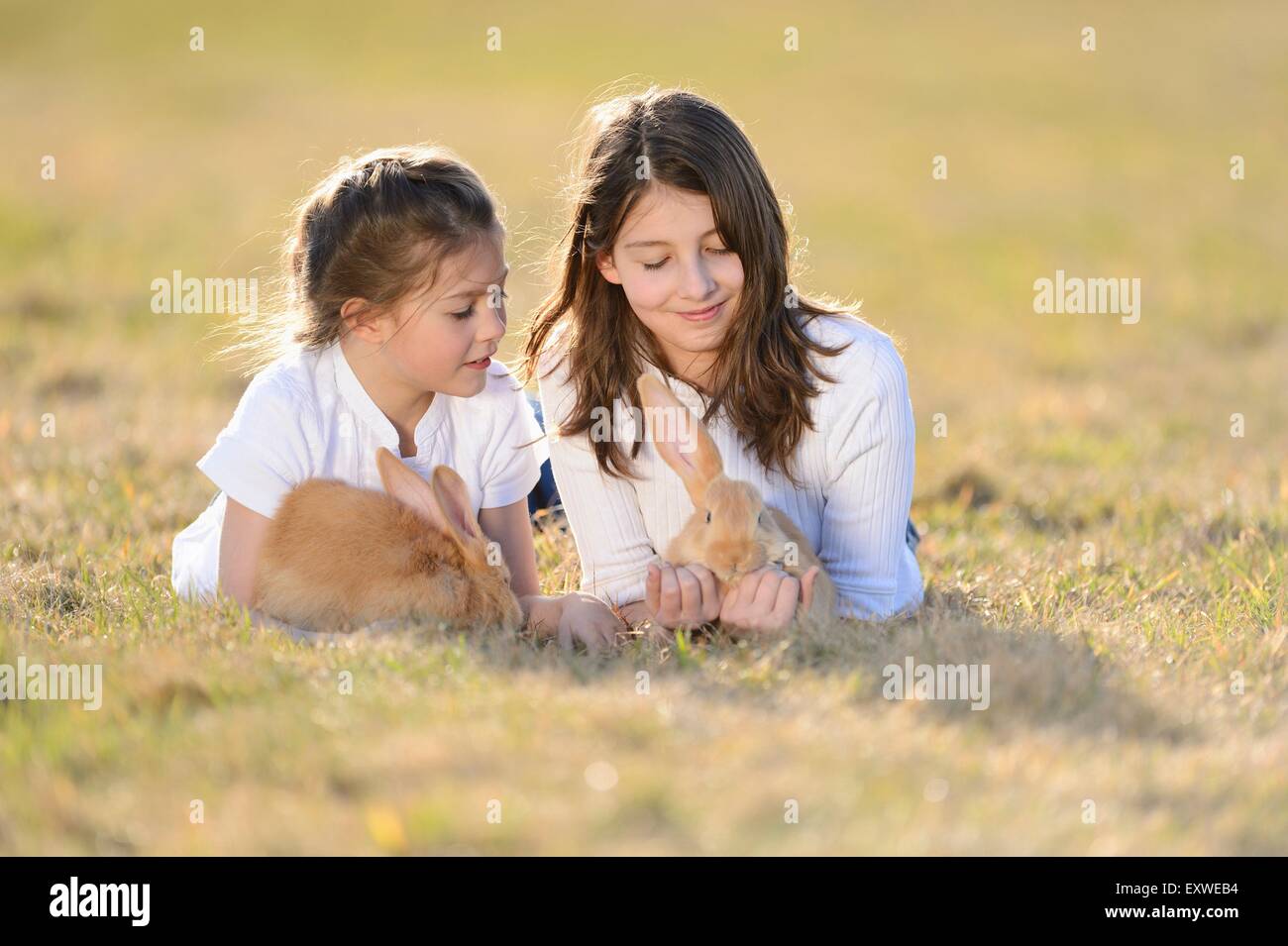 Zwei Kinder mit ihr Kaninchen auf einer Wiese, Oberpfalz, Bayern, Deutschland, Europa Stockfoto