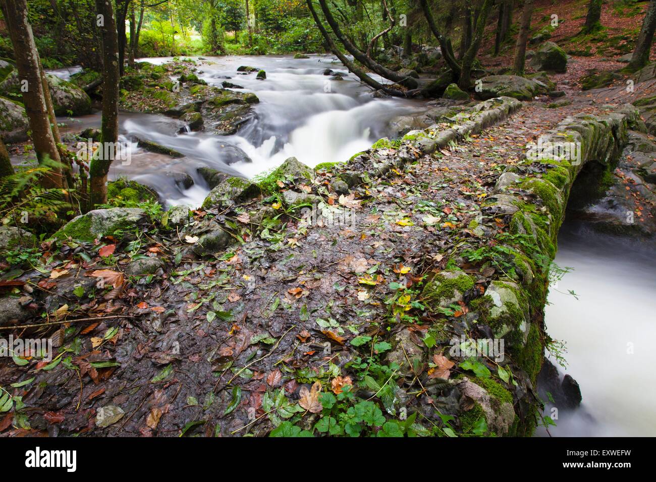 Stein-Brücke, Voges Bergen, Frankreich, Europa Stockfoto