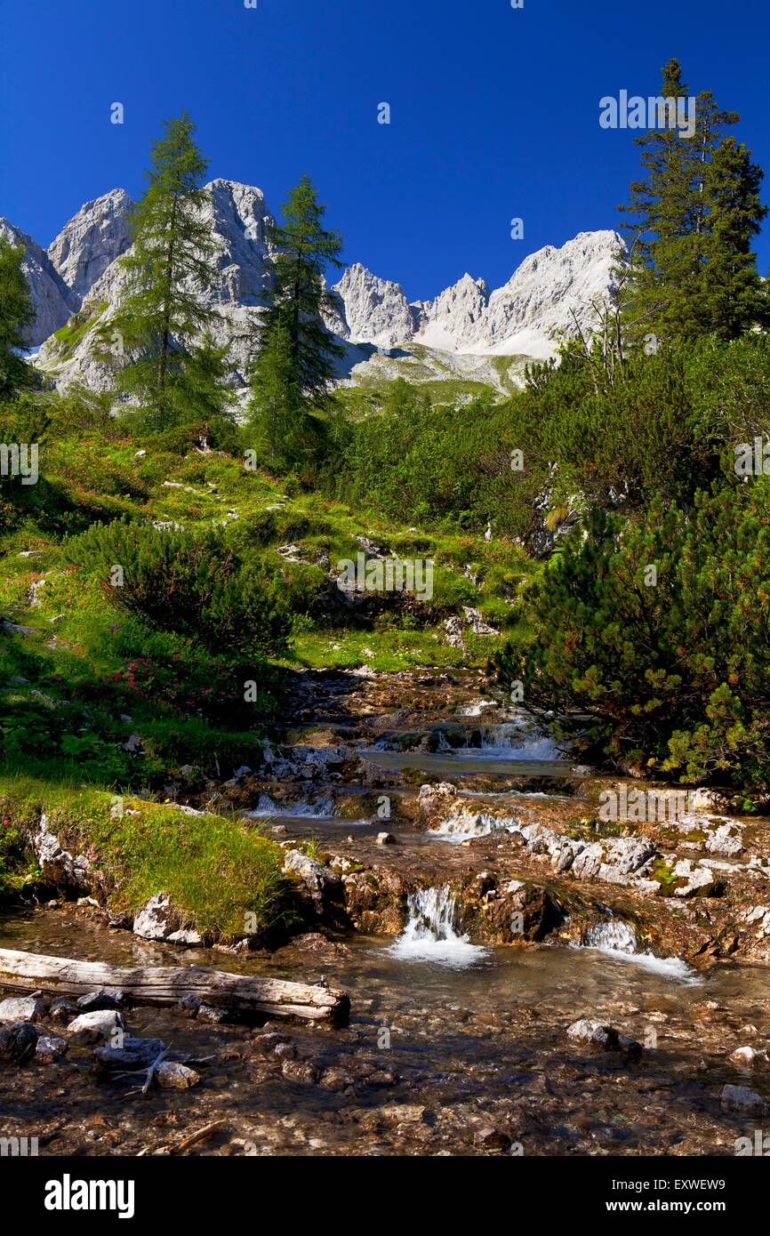 Bergbach im Mieminger Gebirge, Tirol, Österreich Stockfoto
