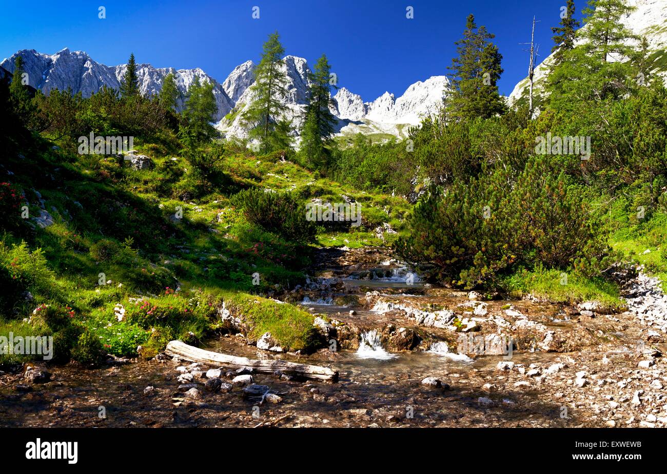 Bergbach im Mieminger Gebirge, Tirol, Österreich Stockfoto