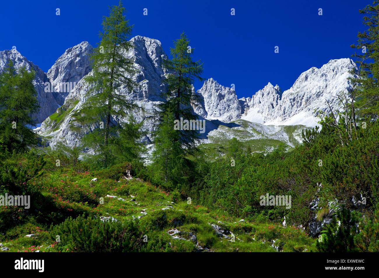 Mieminger Gebirge, Tirol, Österreich Stockfoto
