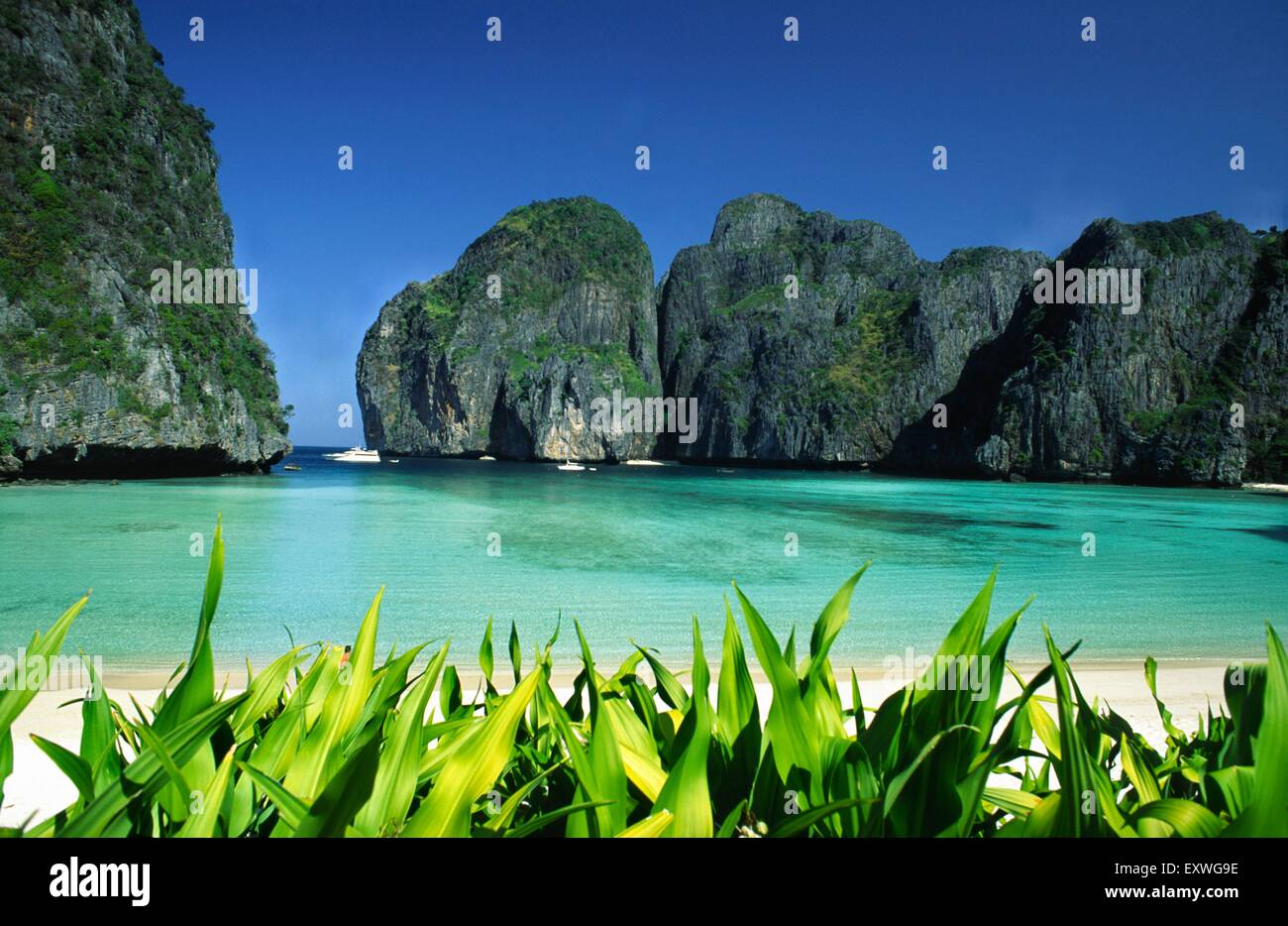 Maya Bay, Kho Phi Phi Lee, Krabi, Thailand, Asien Stockfoto