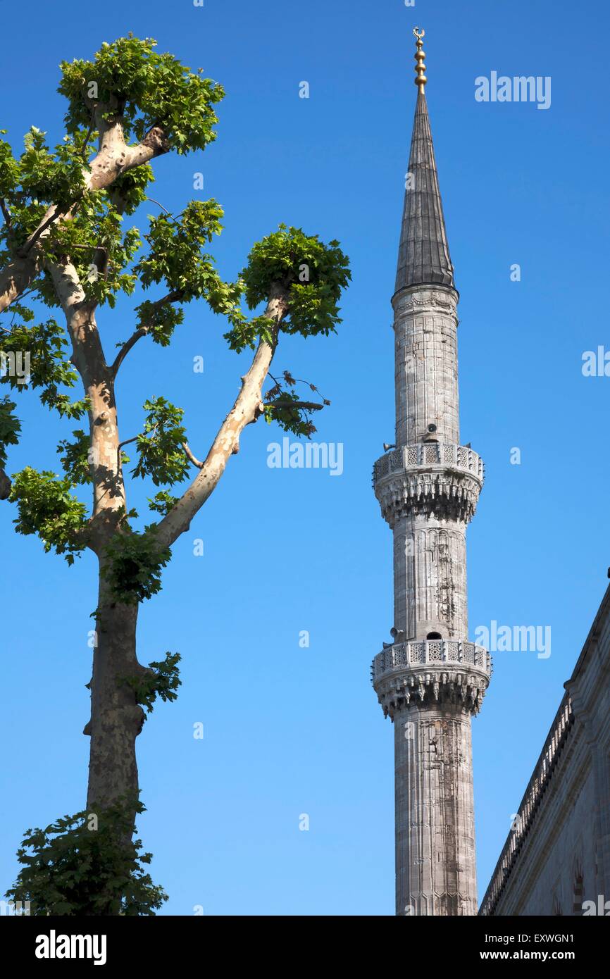 Minarett der blauen Moschee, Istanbul, Türkei Stockfoto