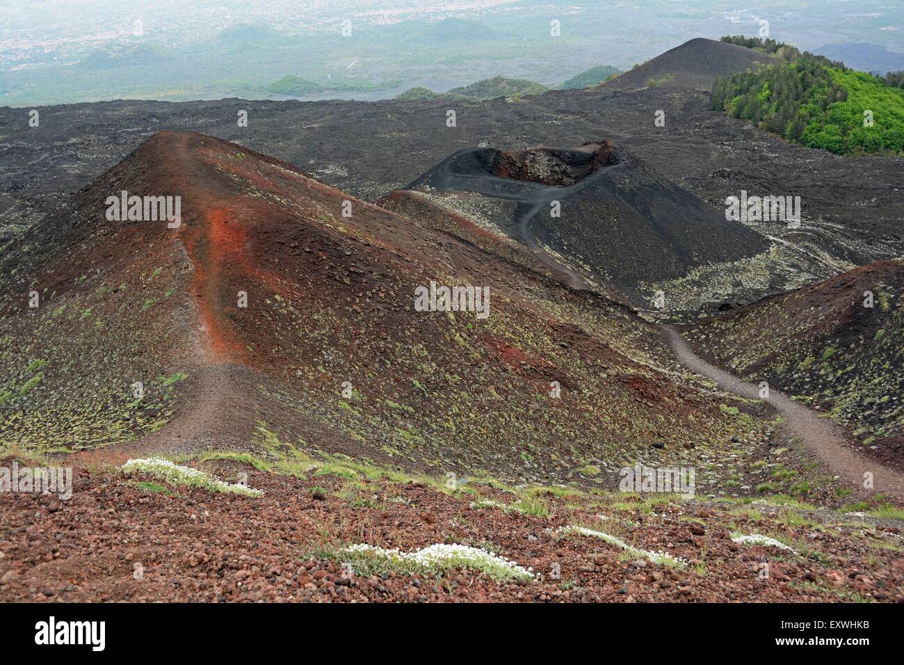 Vulkanlandschaft, den Ätna, Sizilien, Italien, Europa Stockfoto