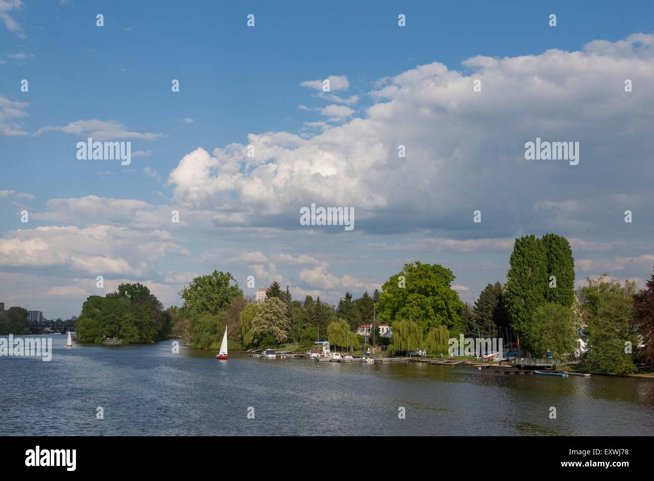 Segelboot auf Main, Niederrad, Frankfurt Am Main, Hessen, Deutschland, Europa Stockfoto