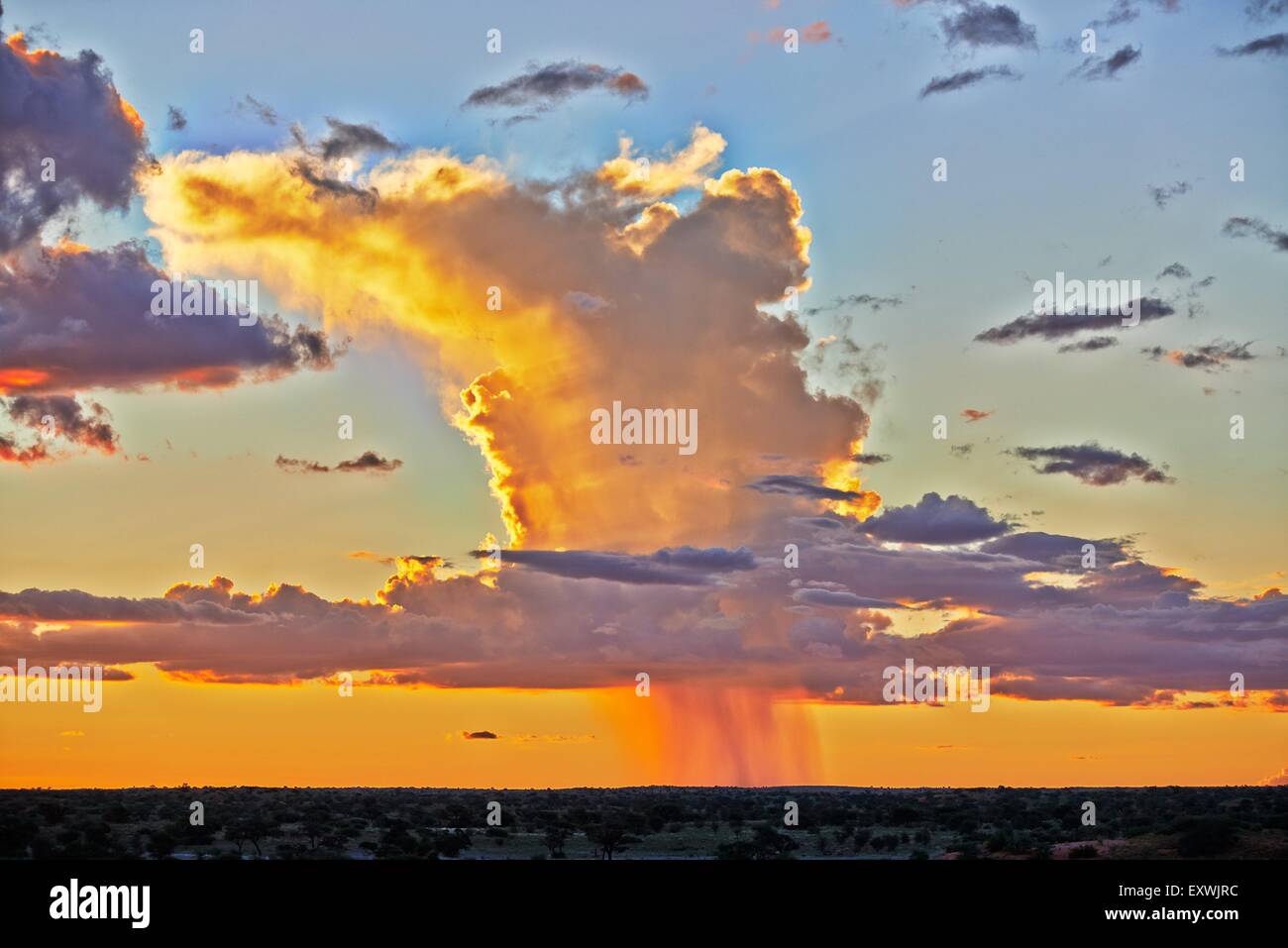 Regenwolken über Kgalagadi Transfrontier Park, Kalahari, Südafrika, Botswana Stockfoto