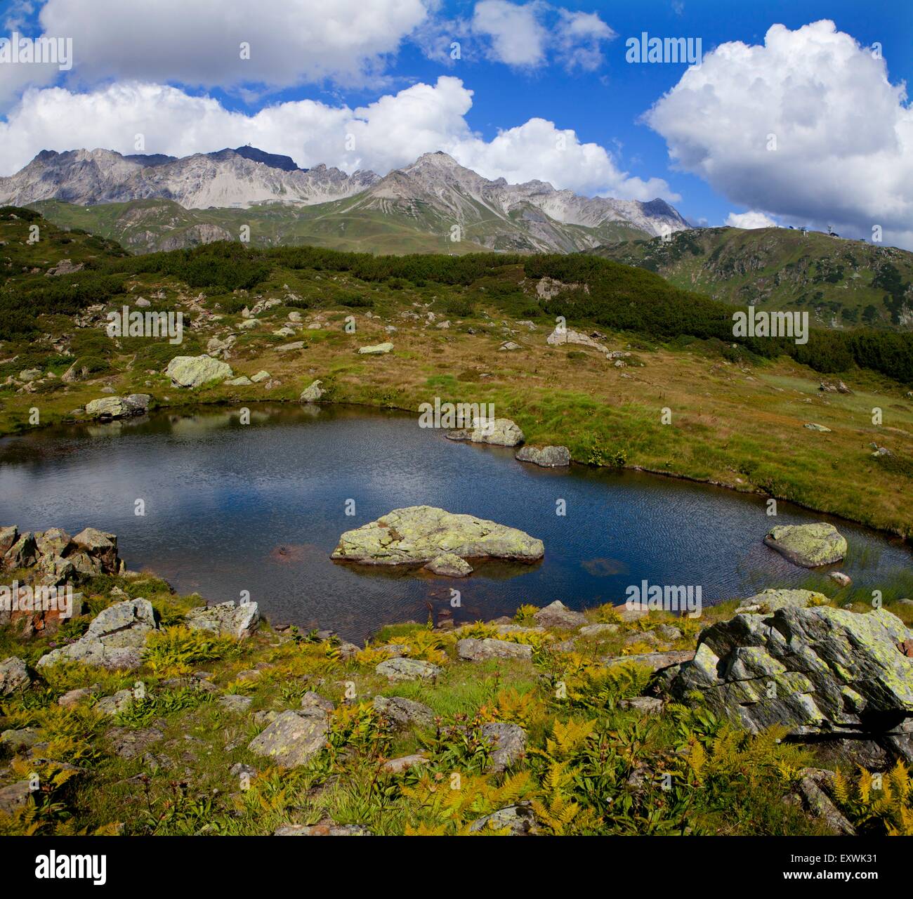 Bergsee im Lechtaler Alpen, Tirol, Österreich Stockfoto