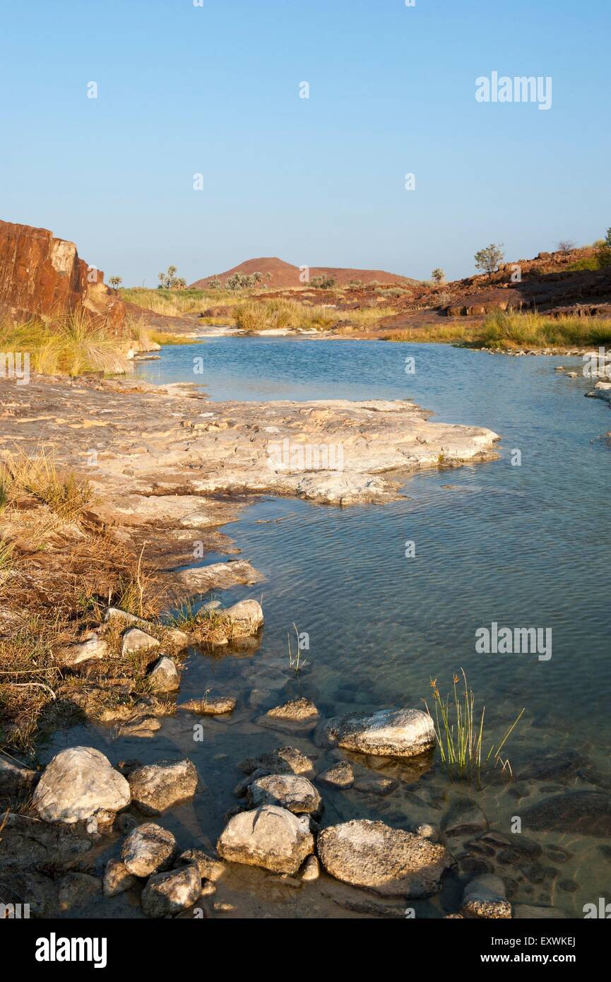 Frisches Quellwasser in einer Schlucht bei Palmwag, Kunene-Region, Namibia Stockfoto