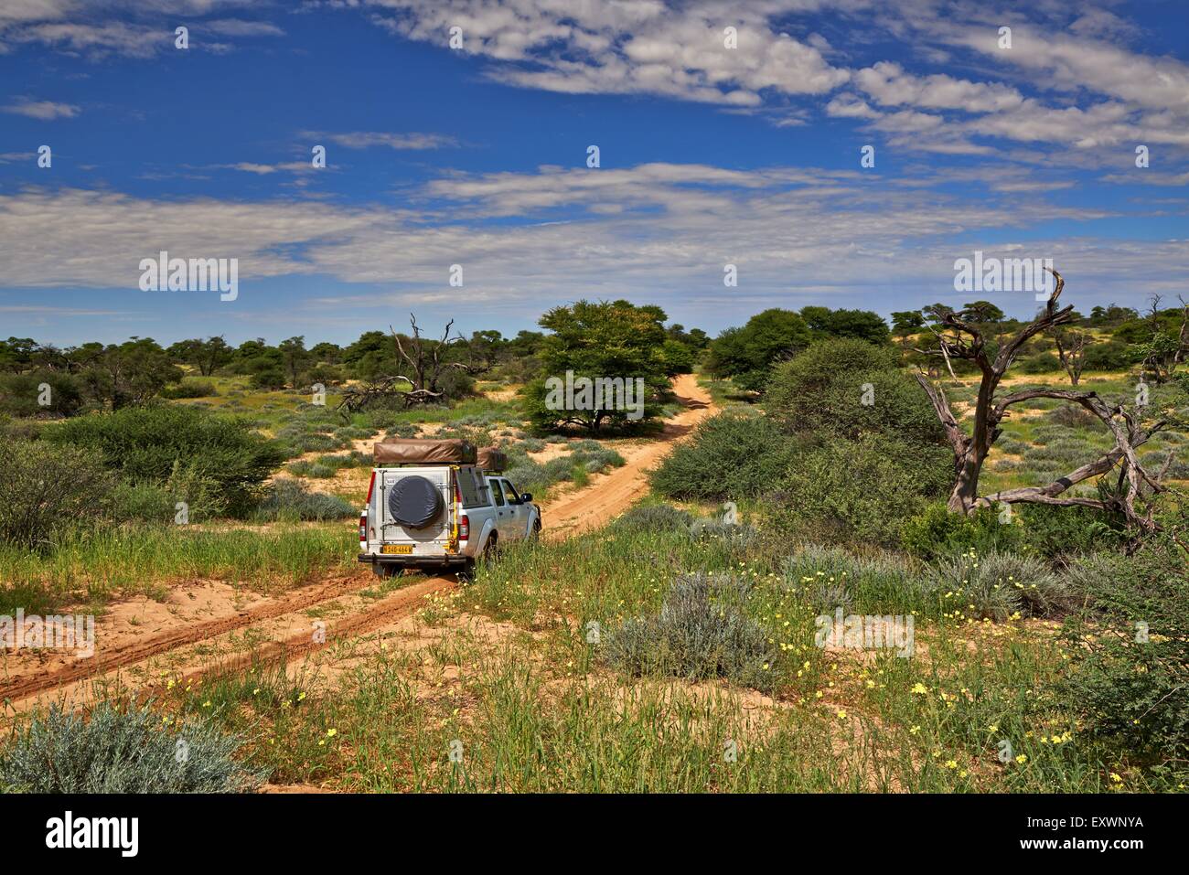 4 x 4 in Kgalagadi Transfrontier Park, Kalahari, Südafrika, Botswana Stockfoto