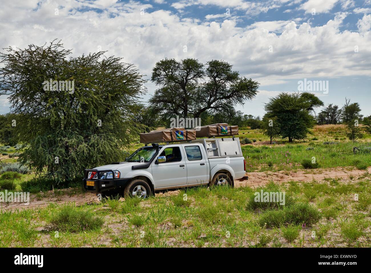 4 x 4 in Kgalagadi Transfrontier Park, Kalahari, Südafrika, Botswana Stockfoto