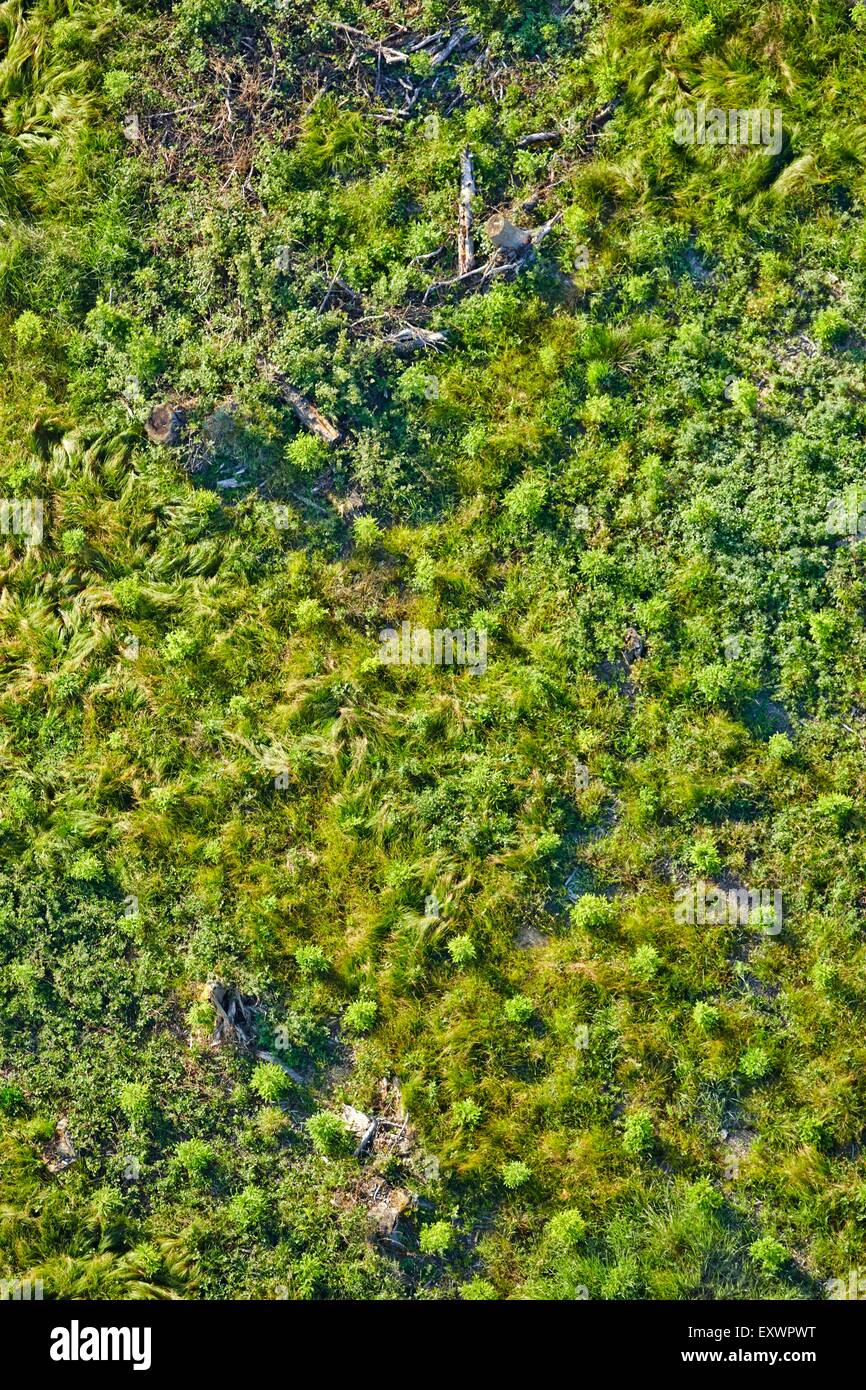 Luftaufnahme der Waldlichtung, Baden-Württemberg, Deutschland Stockfoto