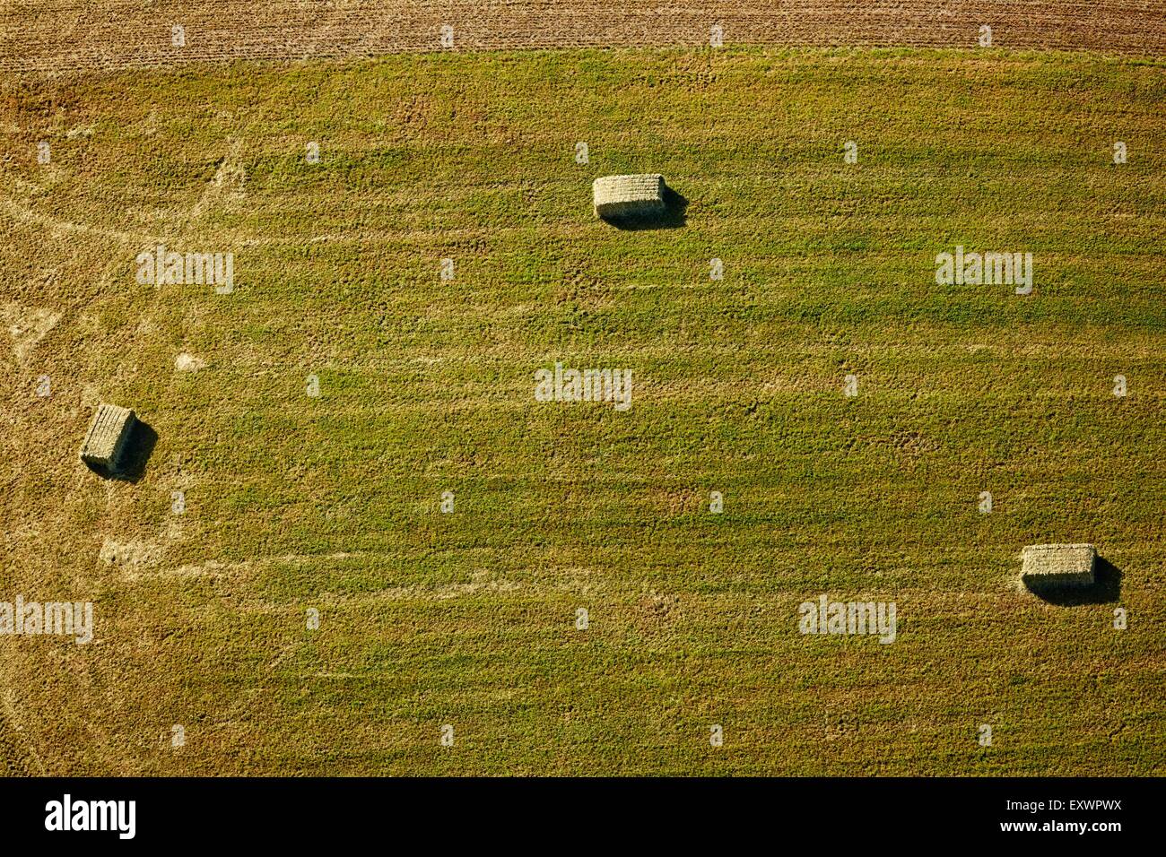 Heuballen auf einer Wiese, Baden-Württemberg, Deutschland, Luftbild Stockfoto