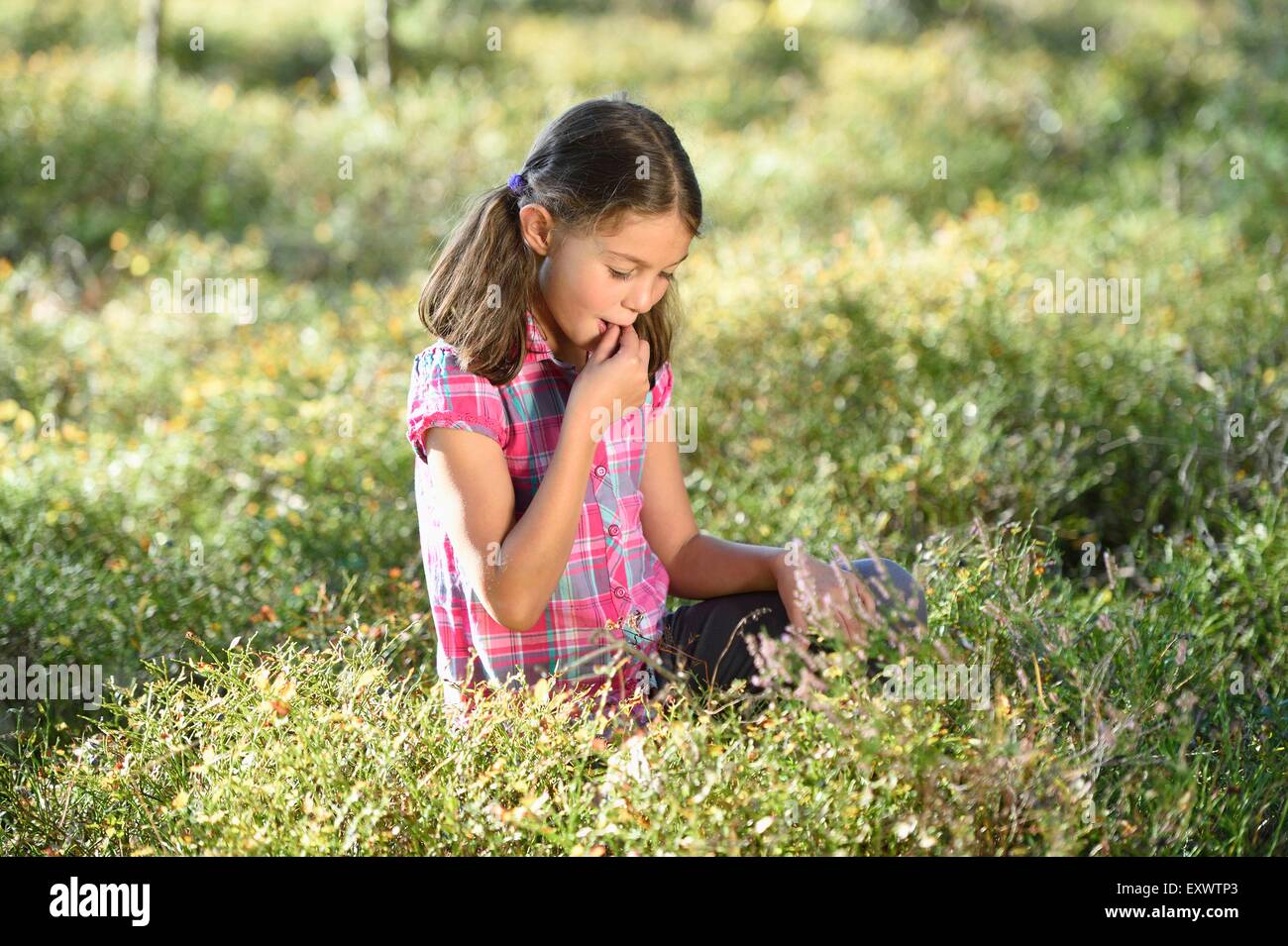 Mädchen, die Beeren zu essen, in einem Kiefernwald Stockfoto