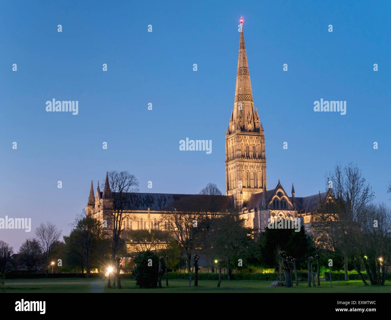 Salisbury Kathedrale bei Nacht, Wiltshire, England, UK Stockfoto
