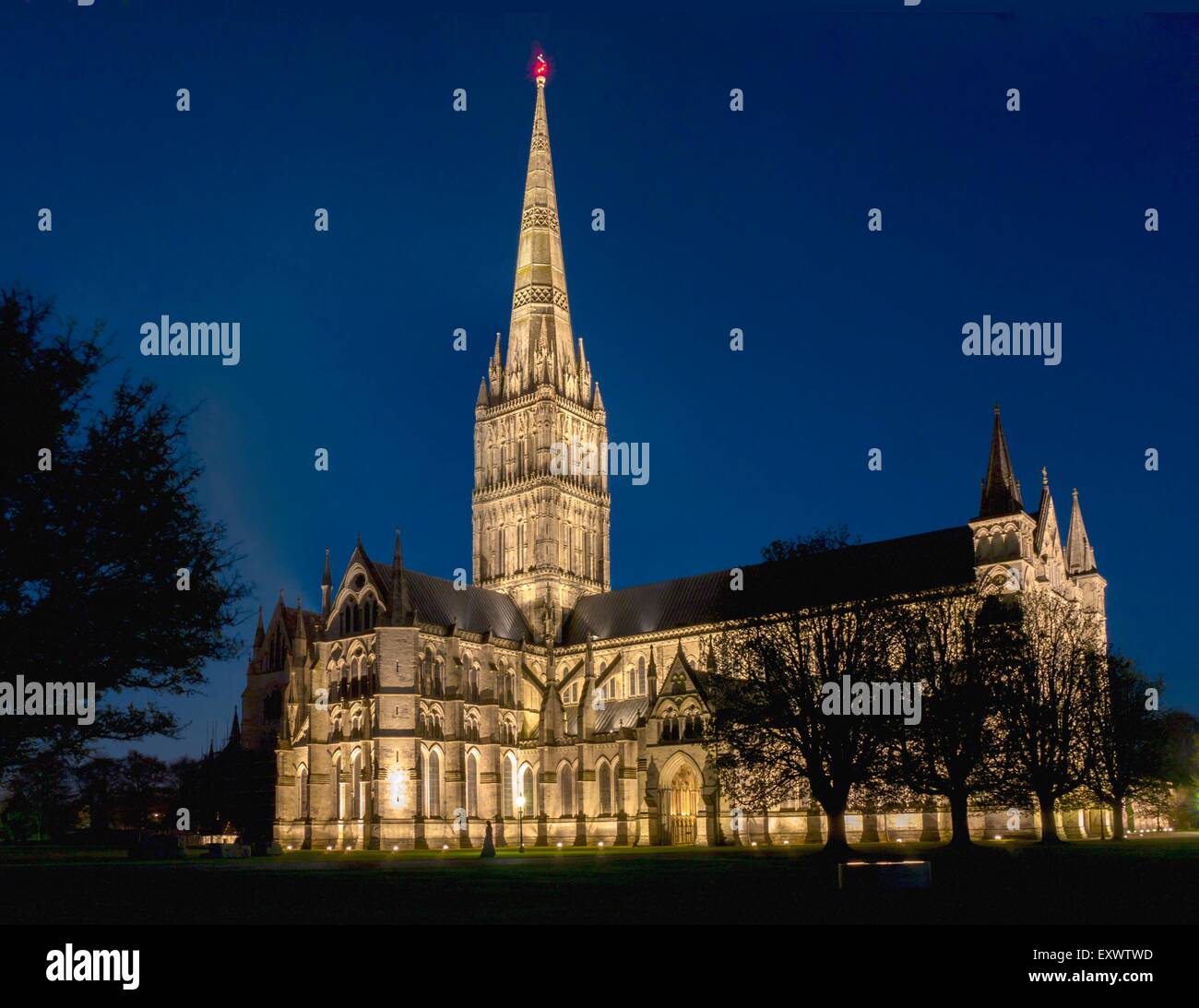 Salisbury Kathedrale bei Nacht, Wiltshire, England, UK Stockfoto