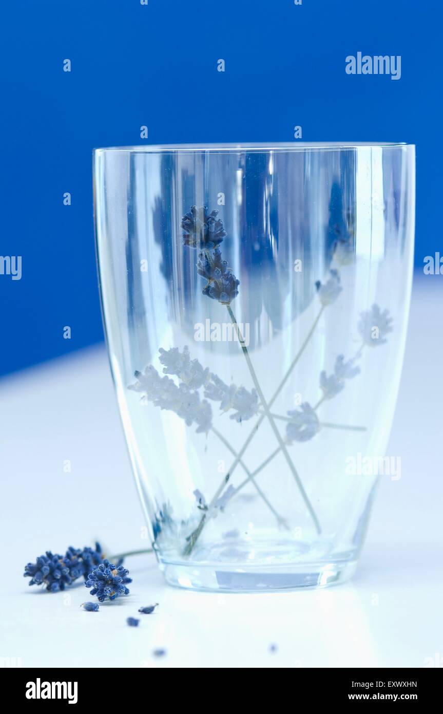 Lavendel im Glas Stockfoto