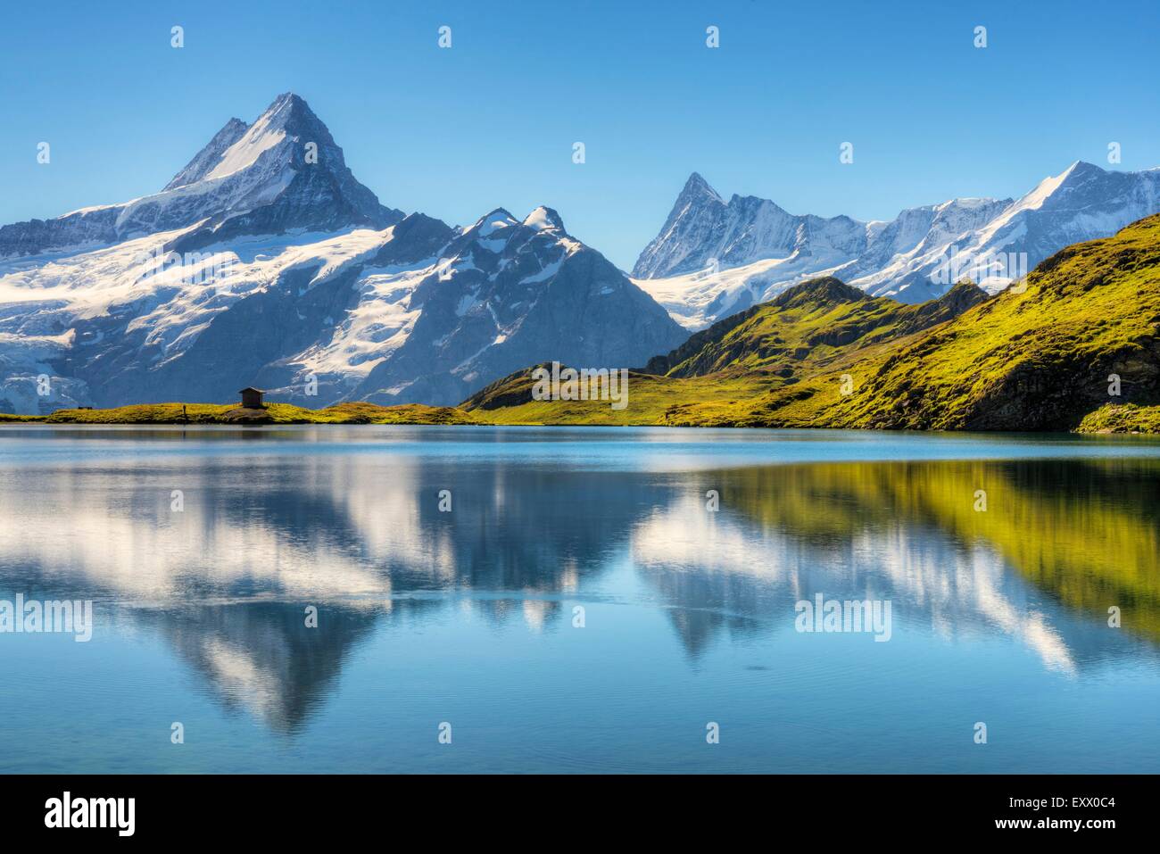 Bachalpsee Mit Schreck Und Finsteraarhorn Berner Alpen Kanton Bern 