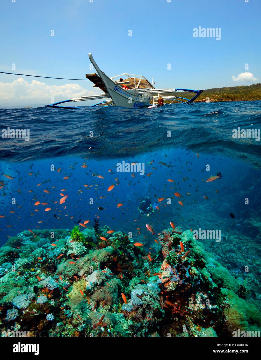 Weibliche Taucher und Boot, Pazifik, Mindoro, Philippinen, Asien Stockfoto