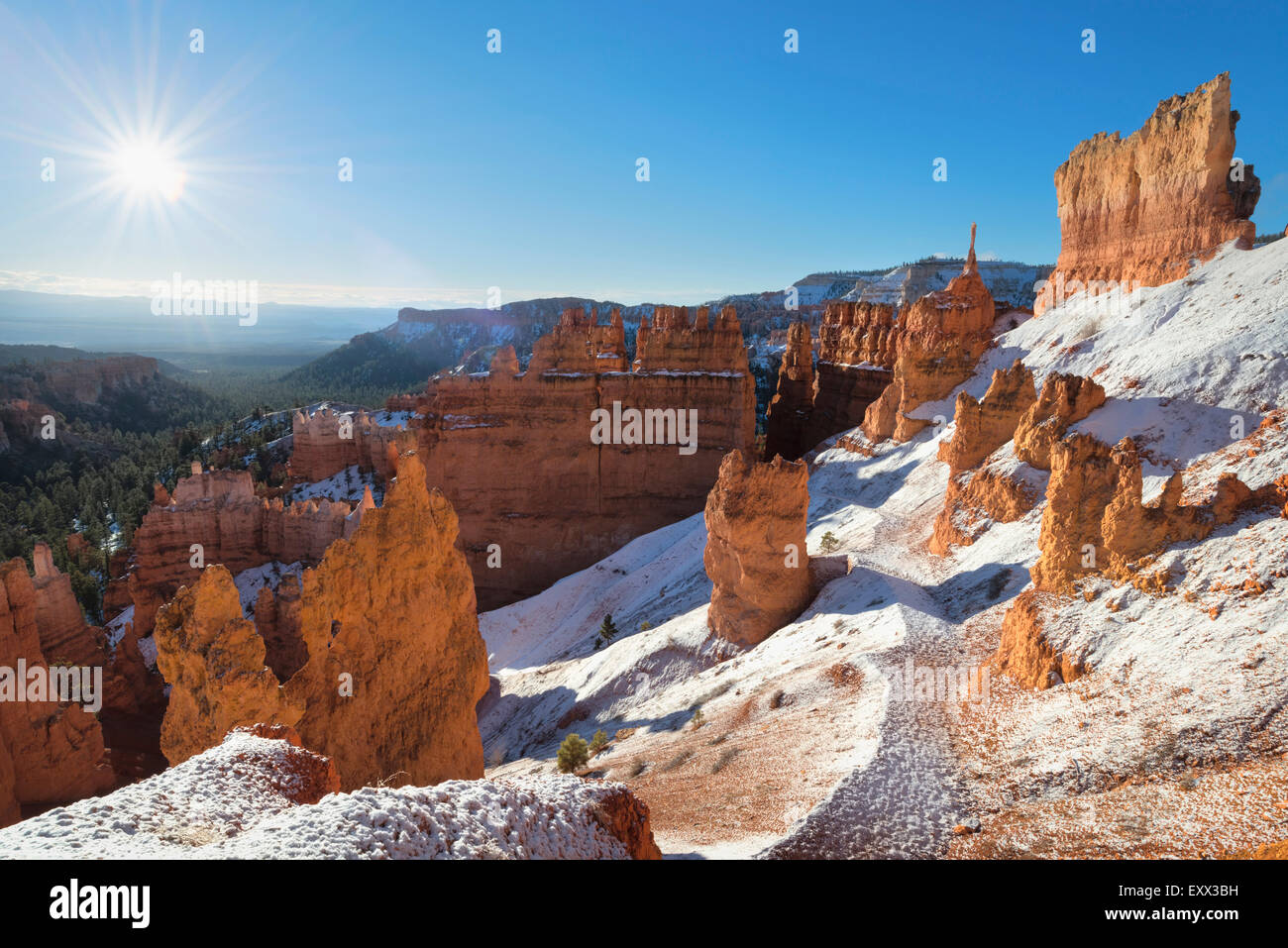 Blick auf verschneite Winterlandschaft Stockfoto