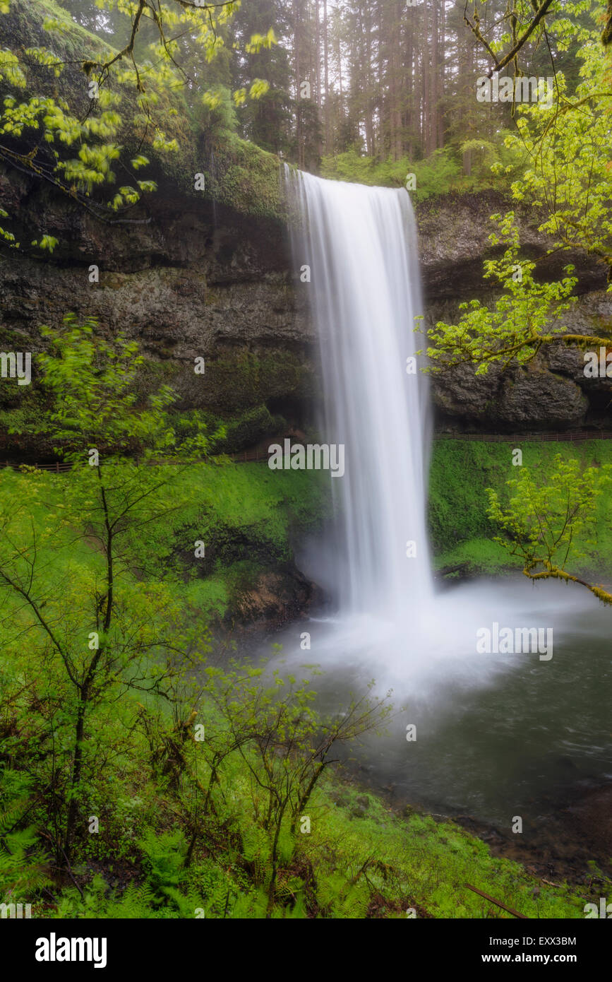 Wasserfall im Wald Stockfoto