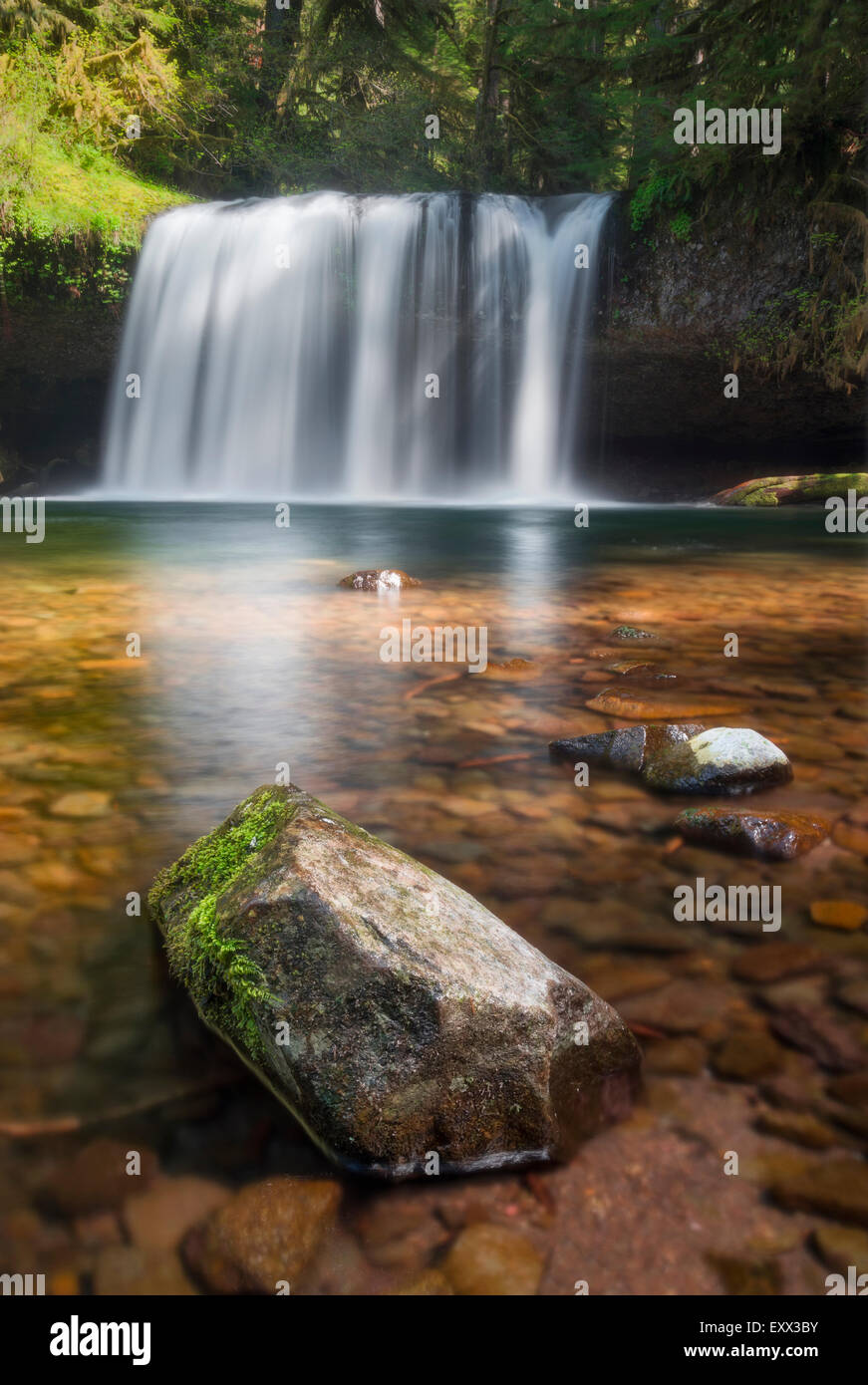 Blick auf Butte Creek Falls Stockfoto