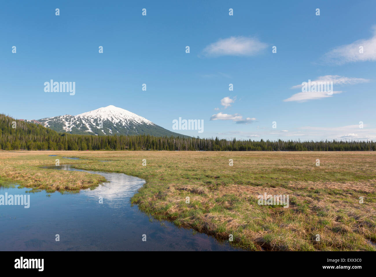 Blick auf schneebedeckten Mount Bachelor Stockfoto