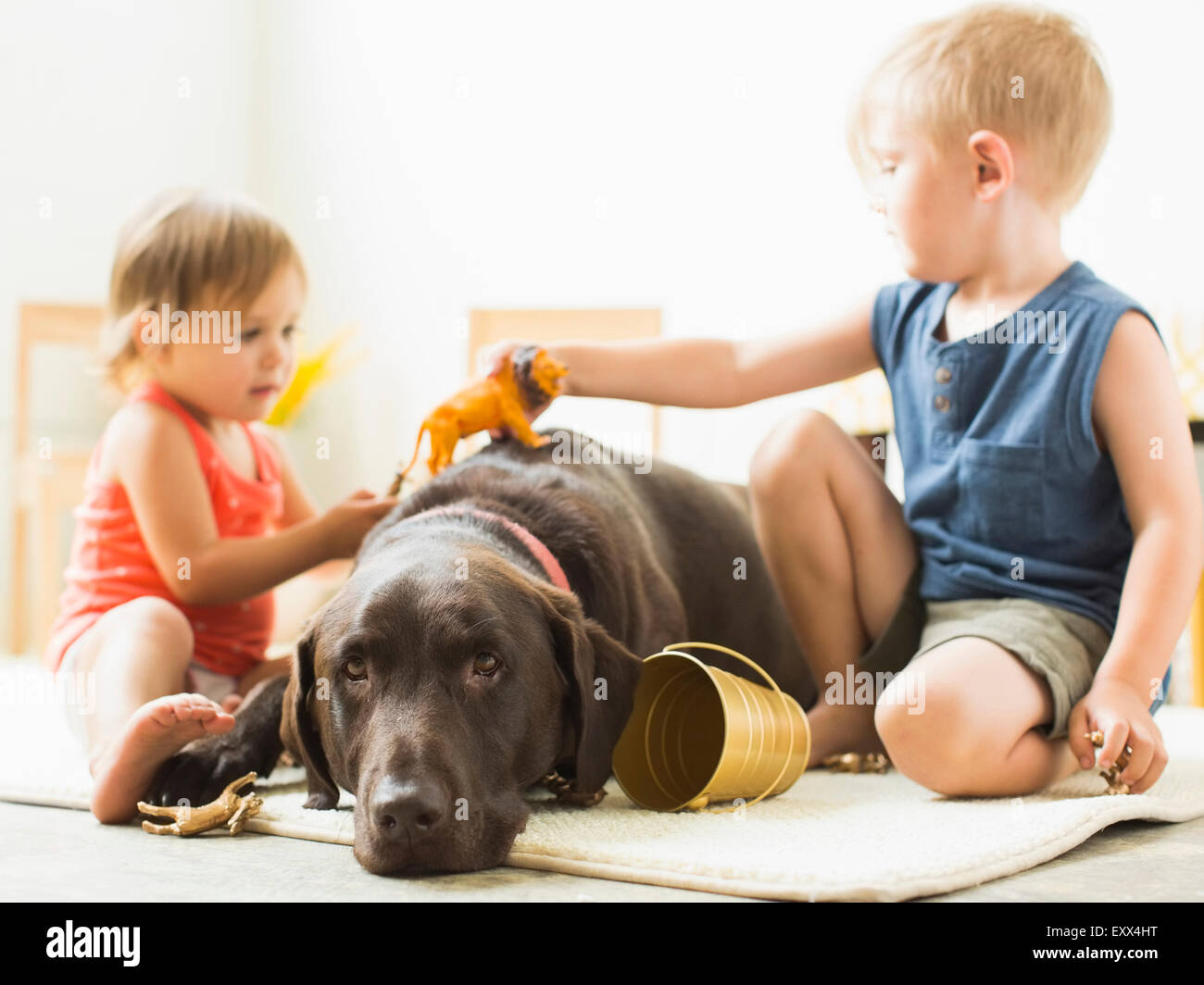 Kinderfreundliche Hunde Stockfotos &amp; Kinderfreundliche Hunde Bilder Alamy