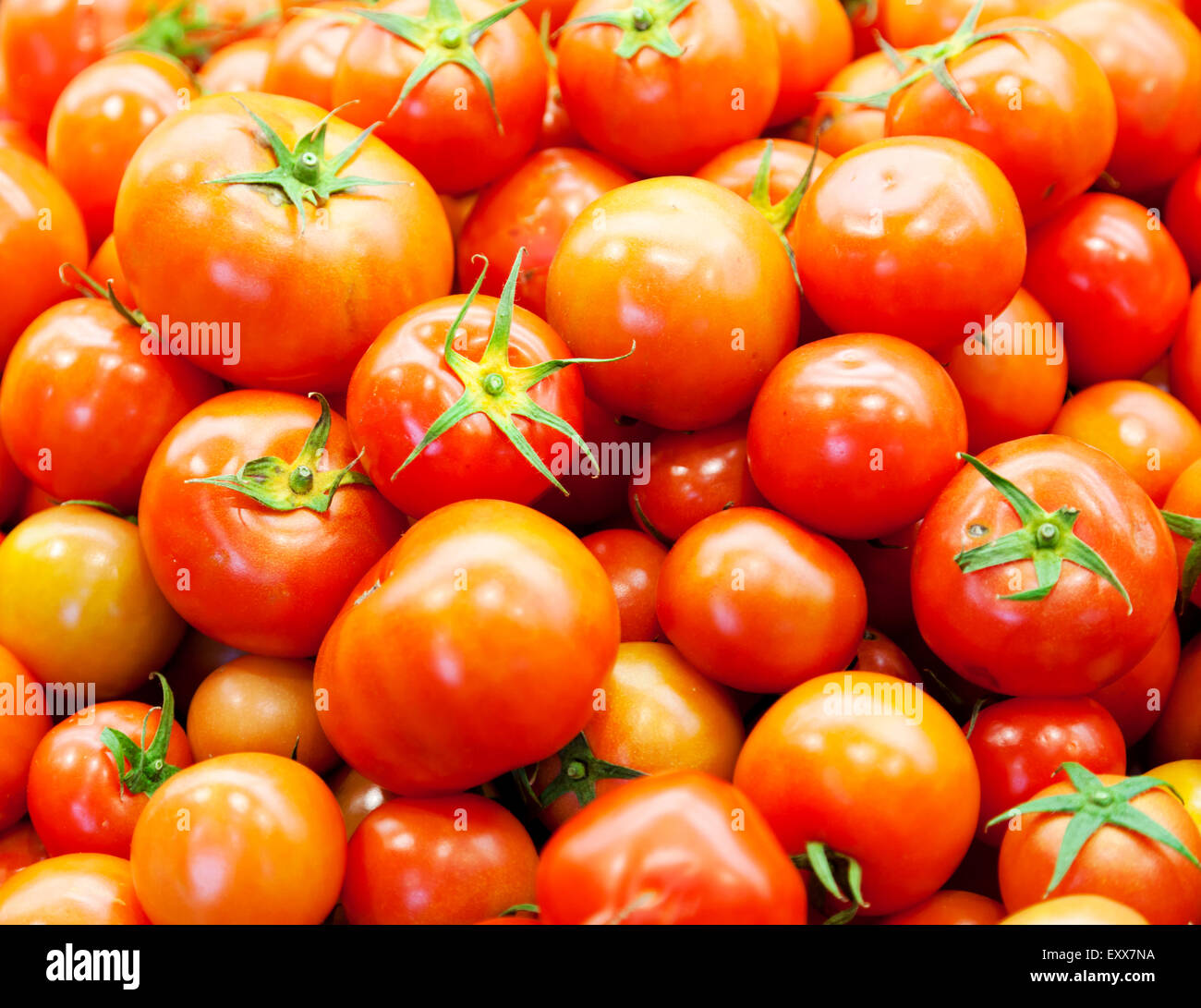 Tomaten in einem Markt Stockfoto