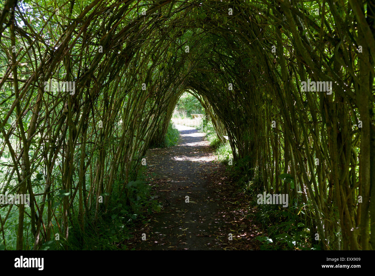 Willow Skulptur, Wycoller, Lancashire Stockfoto