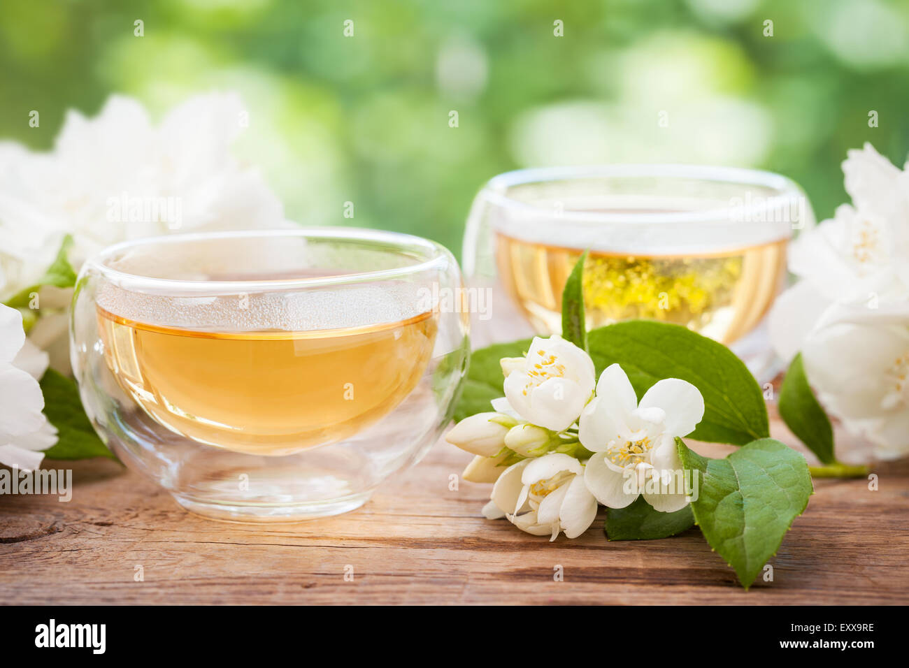 Zwei Tassen gesunde Jasmintee, Kräutermedizin. Stockfoto