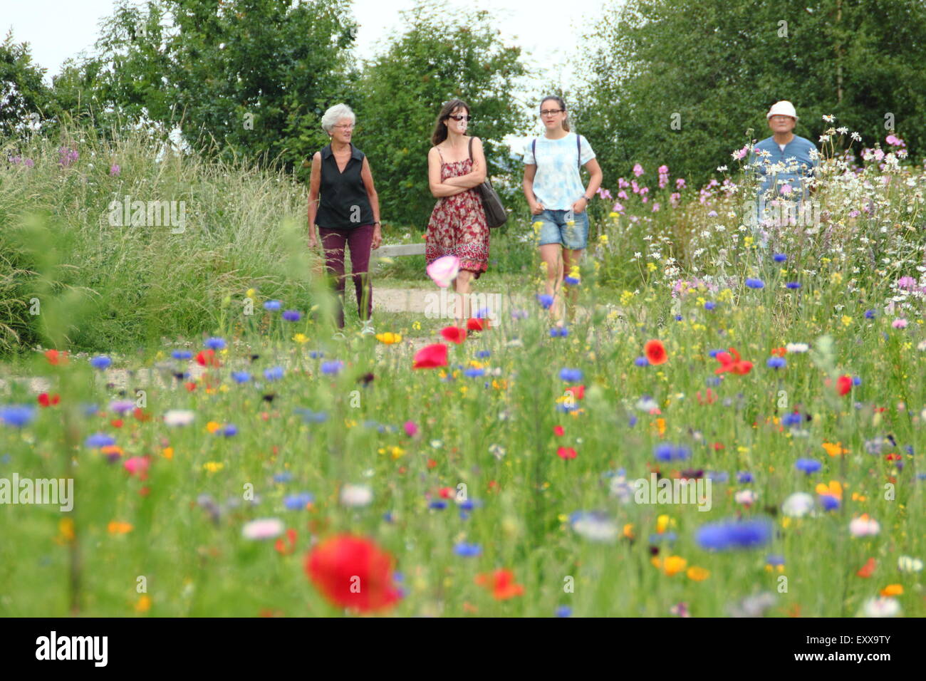 Besucher nach Sheffield Manor Lodge Spaziergang entlang eines Pfads, umsäumt mit Wildblumen, Yorkshire, England, UK Stockfoto