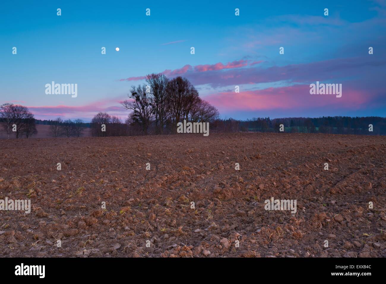 Nach Sonnenuntergang Landschaft Himmel mit Mond und rote Wolken über gepflügtes Feld. Stockfoto