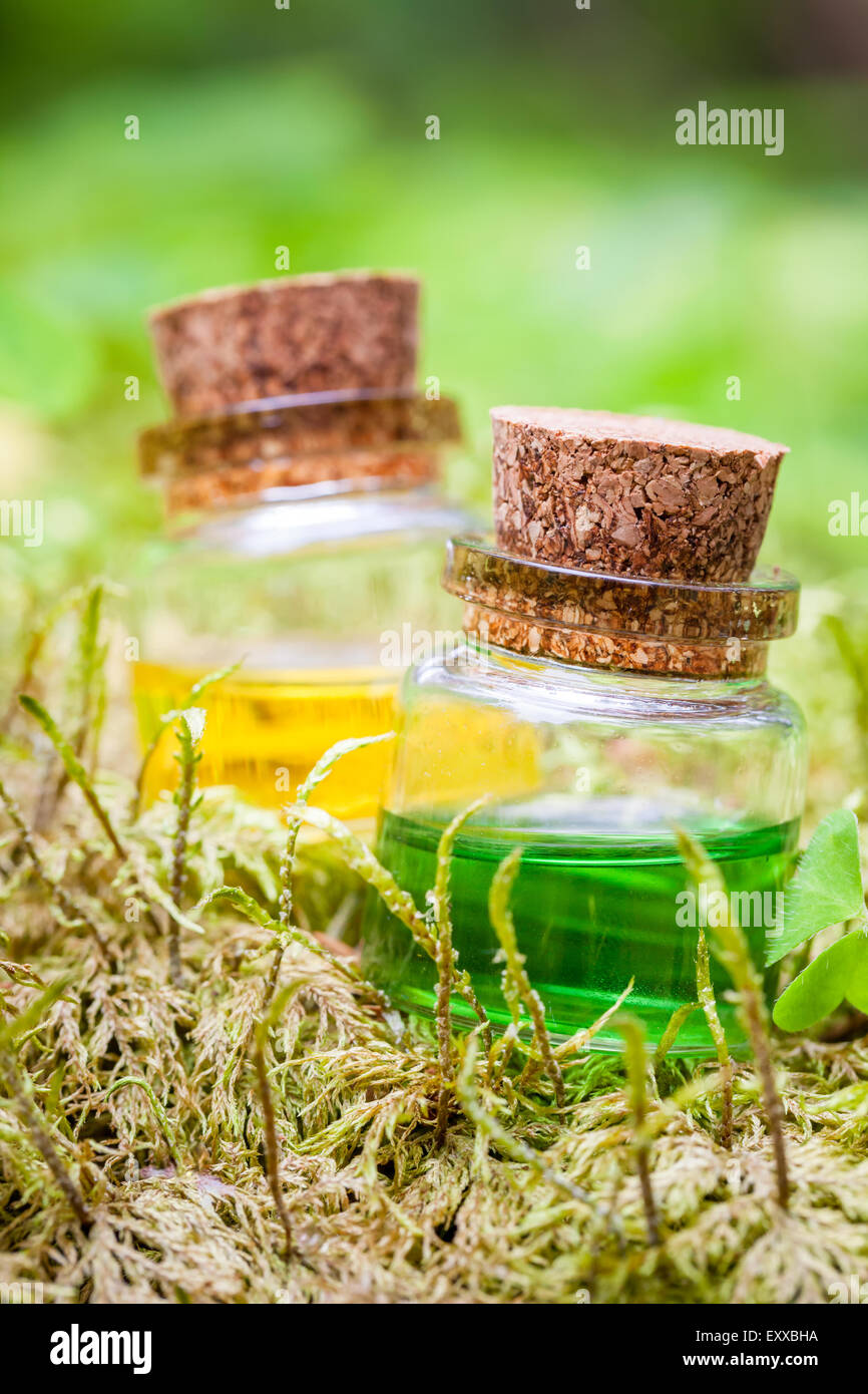Zwei Flaschen des ätherischen Öls oder Zaubertrank auf Moos im Wald Stockfoto