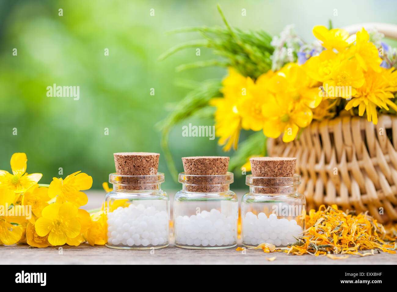 Flaschen mit Homöopathie Globuli und gesunden Kräutern in Weidenkorb. Stockfoto