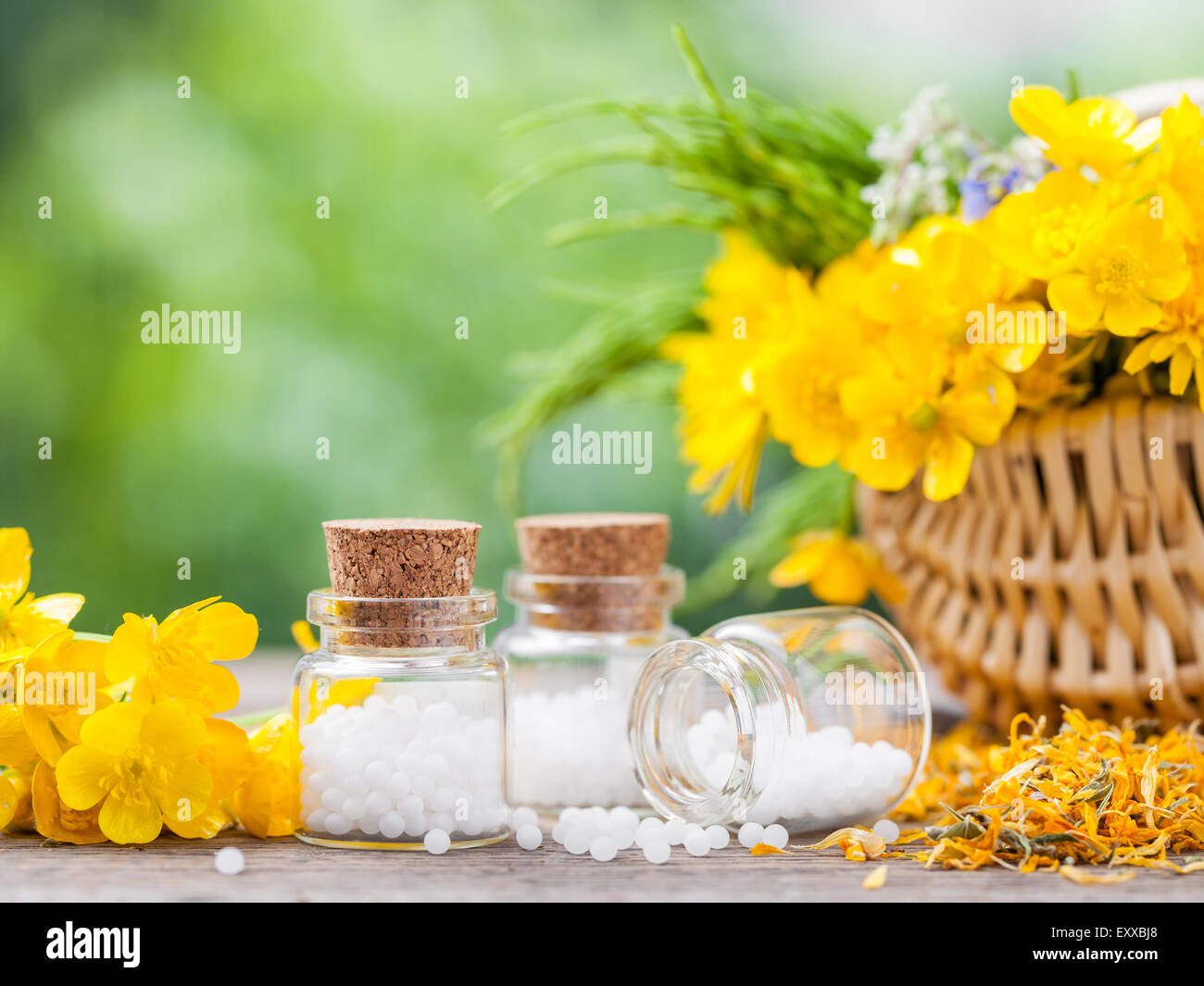 Flaschen mit Homöopathie Globuli und gesunden Kräutern in Korb. Stockfoto