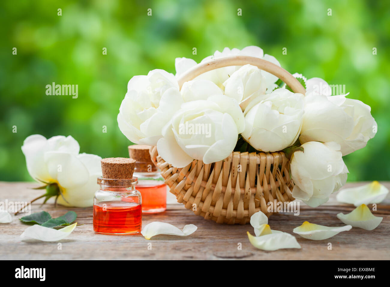 Weidenkorb mit Rosen Haufen und Flaschen von ätherischen Ölen. Stockfoto