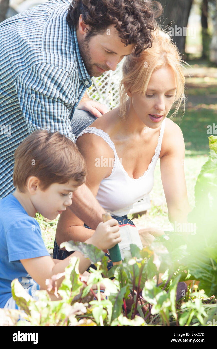 Während die eltern im garten arbeiten Fotos und Bildmaterial in hoher
