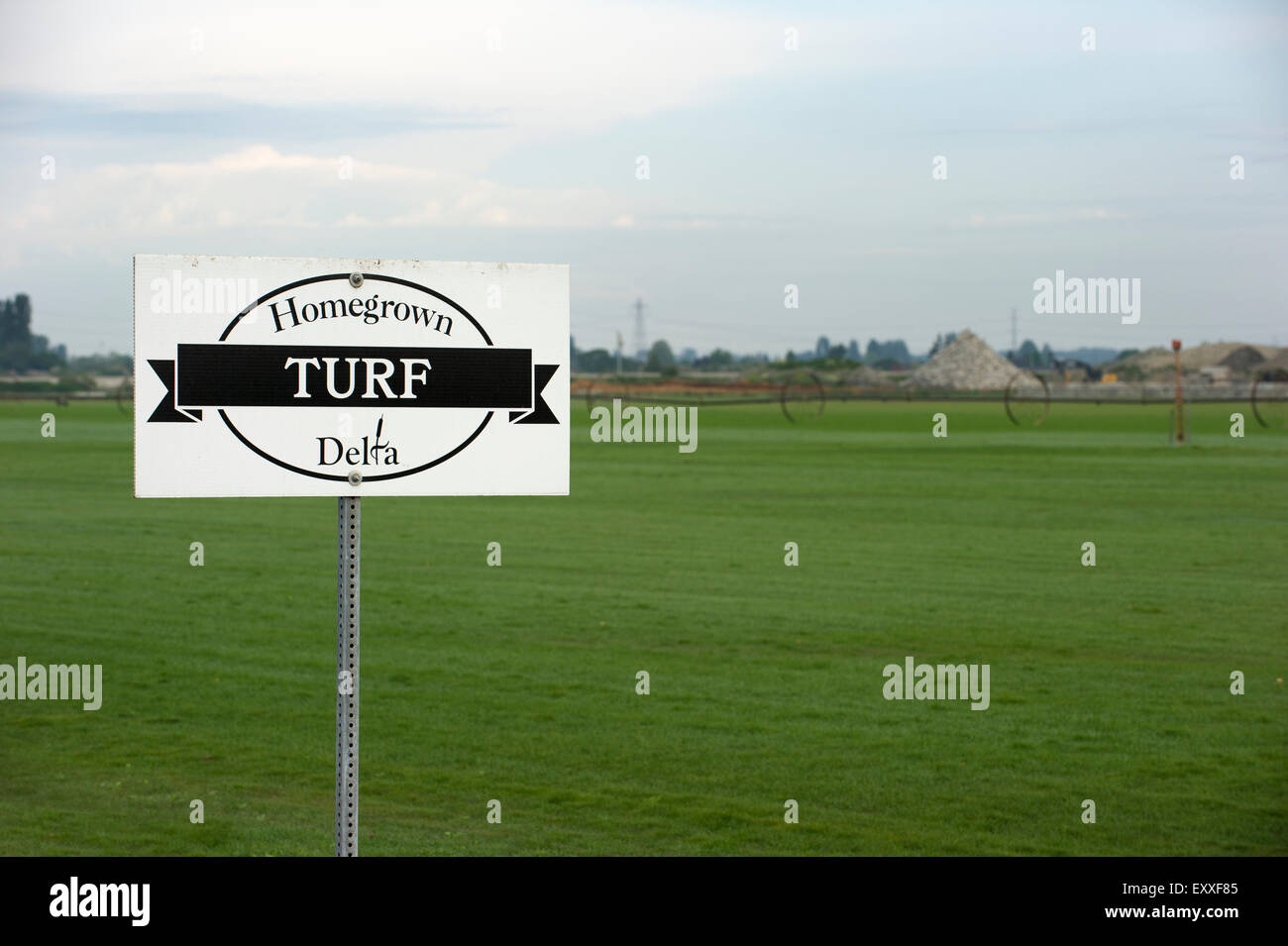 Rasen-Bauernhof, Delta, Britisch-Kolumbien Stockfoto