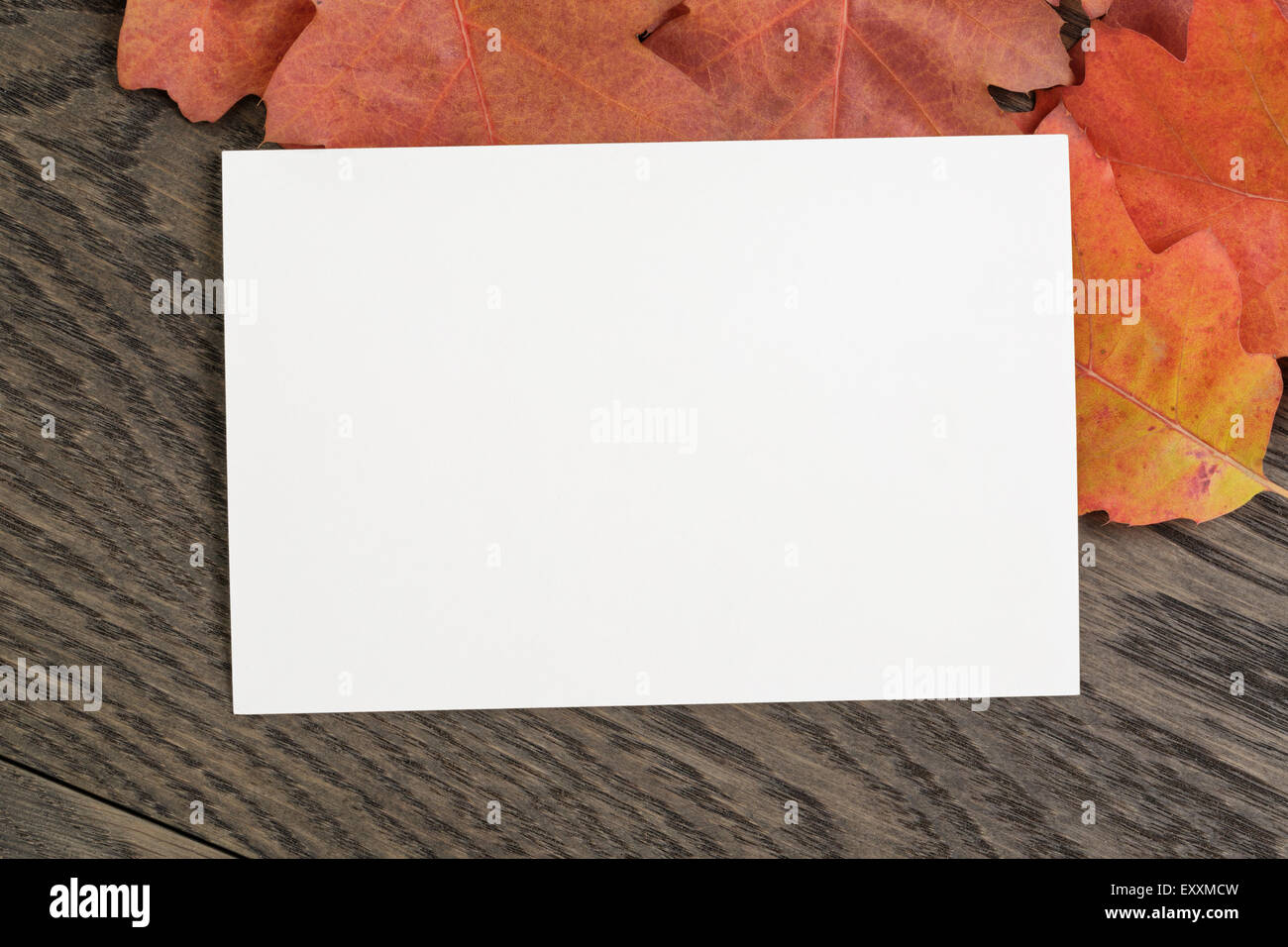 Vintage getönten Hintergrund Eichenlaub Herbst mit Papierkarte Stockfoto