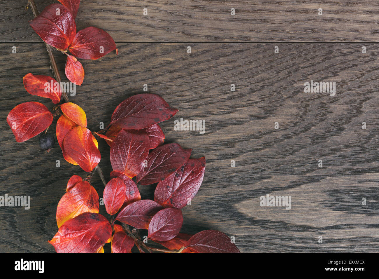 Vintage getönten Foto von Herbstlaub über Holz Tisch Stockfoto