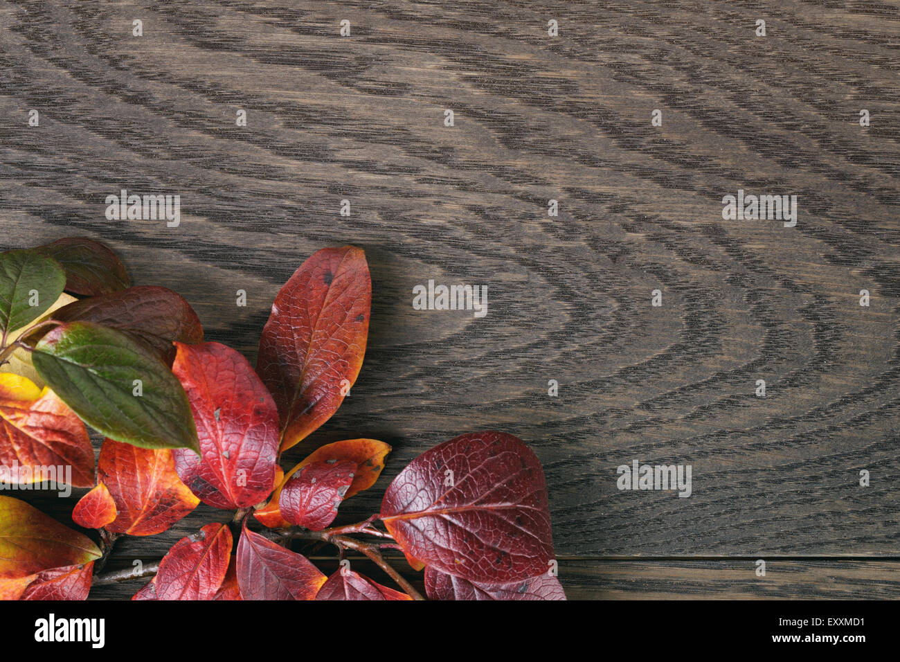Vintage getönten Foto von Herbstlaub über Holz Tisch Stockfoto