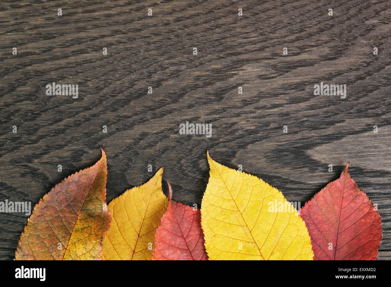 Vintage getönten Foto von Herbstlaub über Holz Tisch Stockfoto