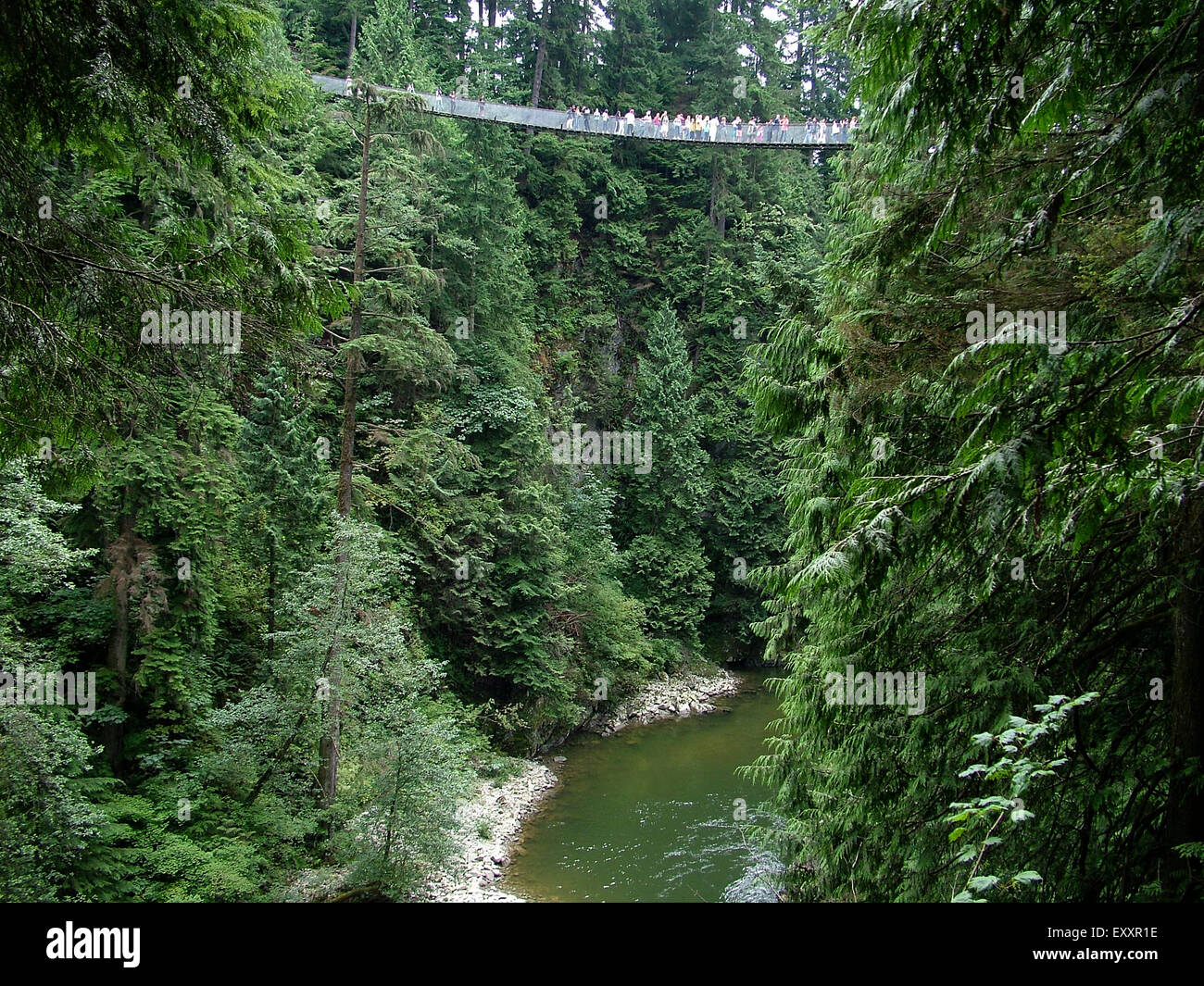 Capilano Suspension Bridge, North Vancouver, Britisch-Kolumbien Stockfoto