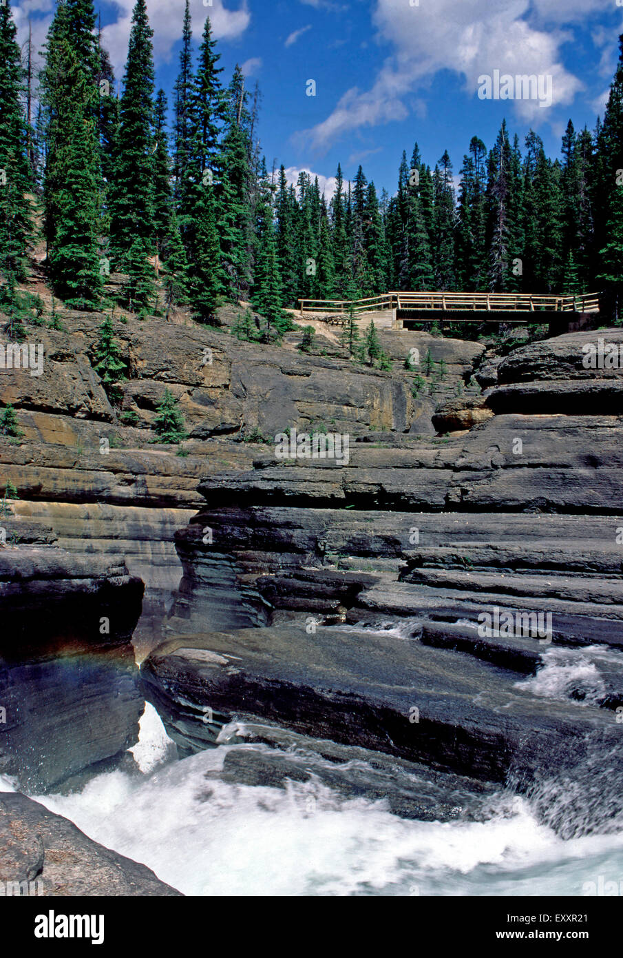 Mistaya Canyon, Banff Nationalpark, Alberta Stockfoto