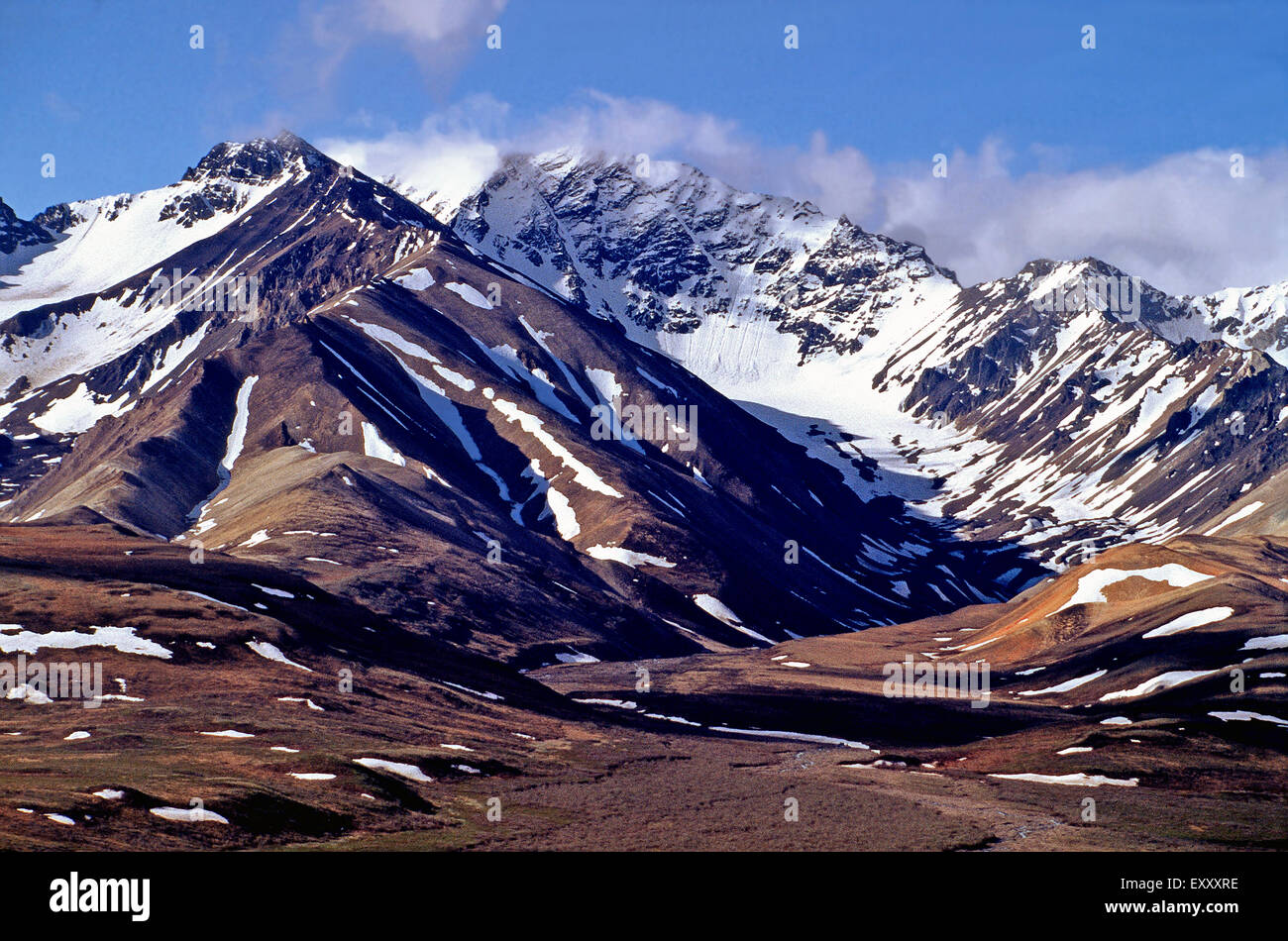 Alaska Range, Denali Park, Alaska Stockfoto